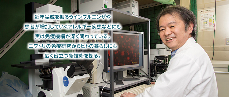 近年猛威を振るうインフルエンザや
患者が増加していくアレルギー疾患などにも実は免疫機構が深く関わっている。ニワトリの免疫研究からヒトの暮らしにも広く役立つ新技術を探る。