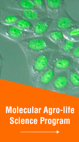 Molecular Agro-life Science Program