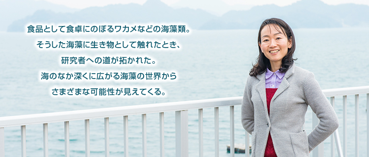 食品として食卓にのぼるワカメなどの海藻類。そうした海藻に生き物として触れたとき、研究者への道が拓かれた。海のなか深くに広がる海藻の世界からさまざまな可能性が見えてくる。