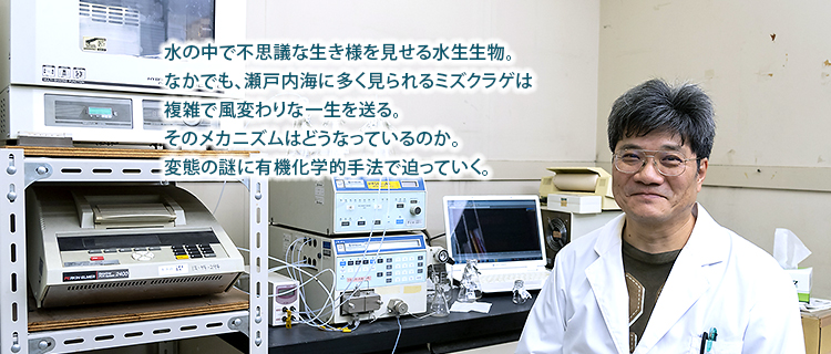 水の中で不思議な生き様を見せる水生生物。
なかでも、瀬戸内海に多く見られるミズクラゲは
複雑で風変わりな一生を送る。
そのメカニズムはどうなっているのか。
変態の謎に有機化学的手法で迫っていく。