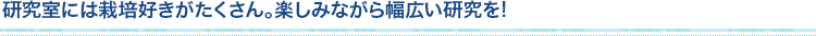 研究室には栽培好きがたくさん。楽しみながら幅広い研究を!