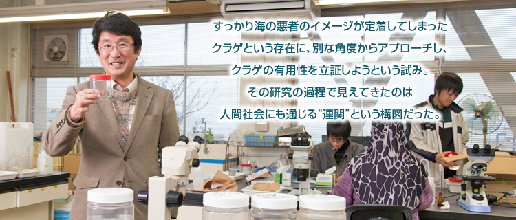 すっかり海の悪者のイメージが定着してしまったクラゲという存在に、別な角度からアプローチし、クラゲの有用性を立証しようという試み。その研究の過程で見えてきたのは人間社会にも通じる“連関”という構図だった。