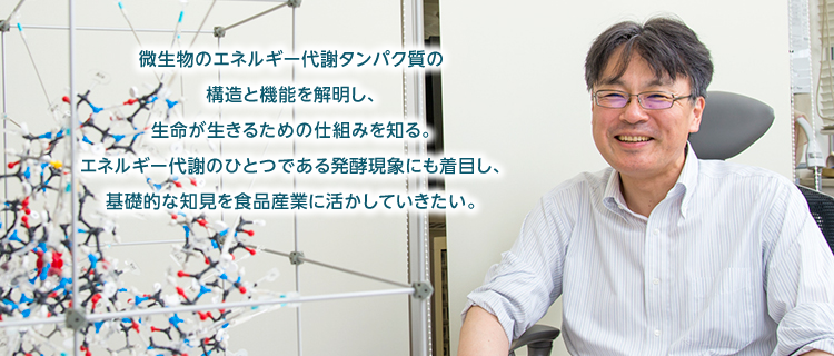 微生物のエネルギー代謝タンパク質の構造と機能を解明し、生命が生きるための仕組みを知る。エネルギー代謝のひとつである発酵現象にも着目し、基礎的な知見を食品産業に活かしていきたい。