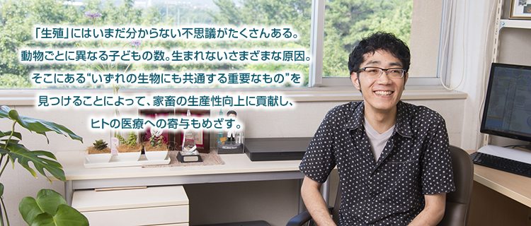 「生殖」にはいまだ分からない不思議がたくさんある。動物ごとに異なる子どもの数。生まれないさまざまな原因。そこにある“いずれの生物にも共通する重要なもの”を見つけることによって、家畜の生産性向上に貢献し、ヒトの医療への寄与もめざす。