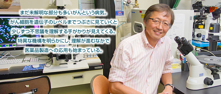 まだ未解明な部分も多いがんという病気。がん細胞を遺伝子のレベルまでつぶさに見ていくと少しずつ不思議を理解する手がかりが見えてくる。特異な機構を明らかにし、理解が進むなかで医薬品製造への応用も始まっている。