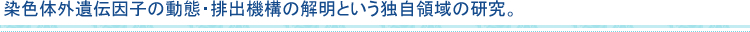 染色体外遺伝因子の動態・排出機構の解明という独自領域の研究。