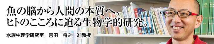 水族生理学研究室　吉田将之准教授
