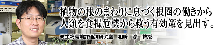 微生物環境評価論研究室 和崎 淳 准教授