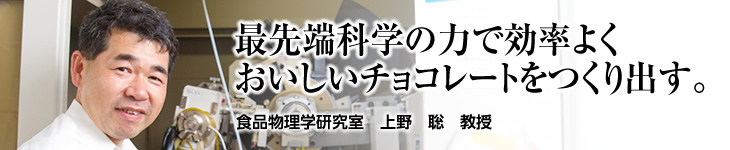 食品物理学研究室 上野 聡 教授