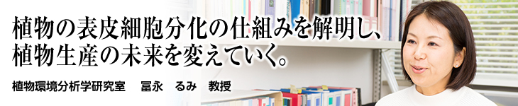 植物環境分析学研究室 冨永 るみ准教授