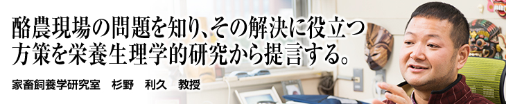 家畜飼養学研究室 杉野 利久 教授