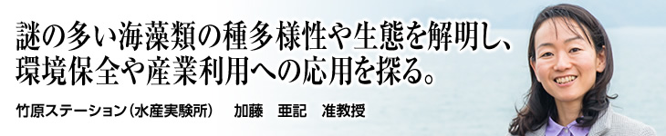 海域生物圏フィールド科学研究室 加藤 亜記 准教授