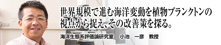 海洋生態系評価論研究室 小池 一彦 教授