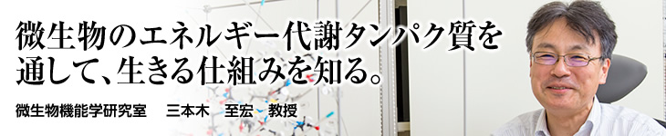 微生物機能学研究室 三本木 至宏 教授