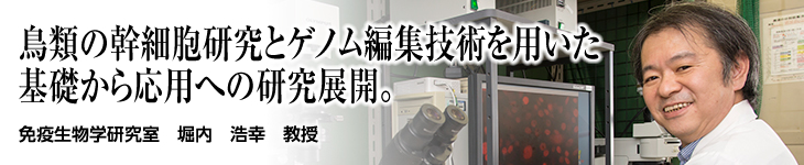 免疫生物学研究室 堀内 浩幸 教授
