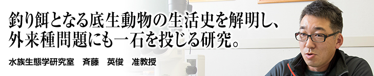 水族生態学研究室 斉藤 英俊 准教授