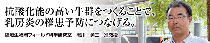 陸域生物圏フィールド科学研究室 黒川 勇三 准教授
