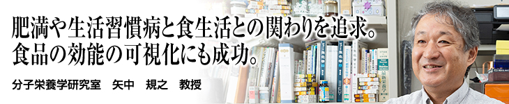 分子栄養学研究室 矢中 規之 教授