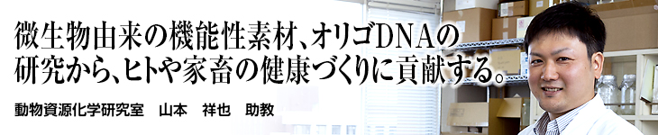 動物資源化学研究室 山本 祥也 助教
