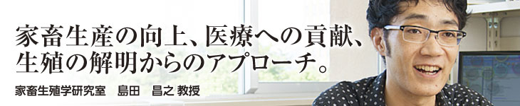 家畜生殖学研究室 島田昌之准教授