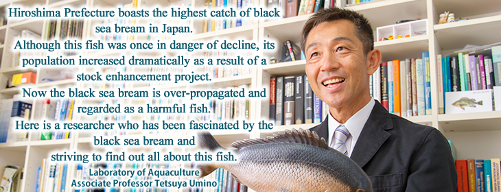 Tetsuya Umino