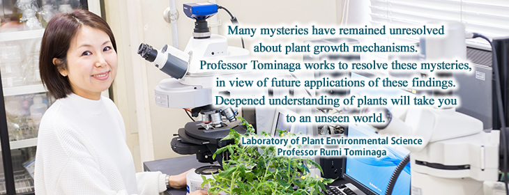 Rumi Tominaga