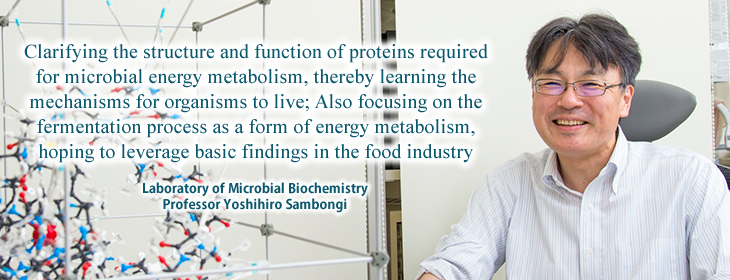 Yoshihiro Sambongi
