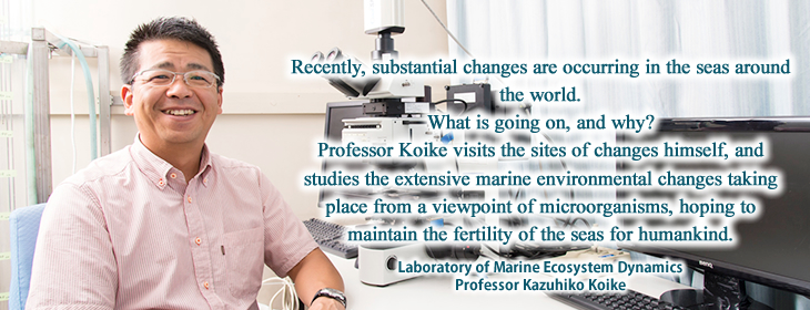 Kazuhiko Koike