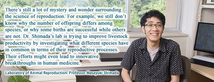 Masayuki Shimada / Animal Science Division