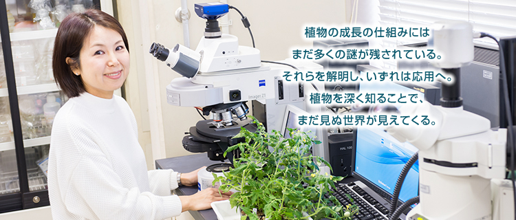 植物の成長の仕組みにはまだ多くの謎が残されている。それらを解明し、いずれは応用へ。植物を深く知ることで、まだ見ぬ世界が見えてくる。