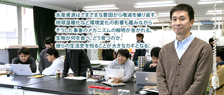 水産資源はさまざまな要因から増減を繰り返す。
地球温暖化など環境変化の影響も鑑みながら
そうした事象のメカニズムの解明が急がれる。
生物が何を食べ、どう育つのか。
彼らの生活史を知ることが大きなカギとなる。