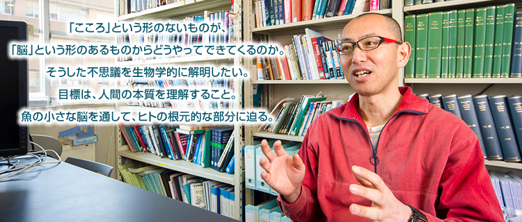 「こころ」という形のないものが、「脳」という形のあるものからどうやってできてくるのか。そうした不思議を生物学的に解明したい。目標は、人間の本質を理解すること。魚の小さな脳を通して、ヒトの根元的な部分に迫る。