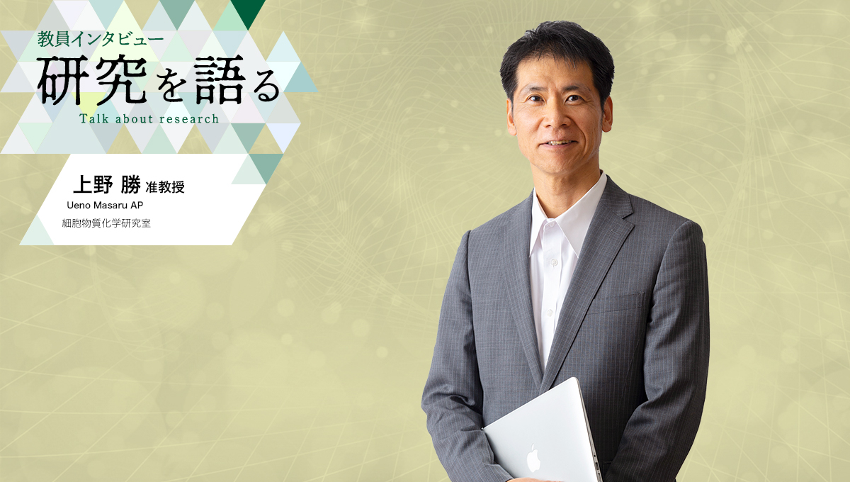 カバー写真：教員インタビュー　研究を語る　細胞物質化学研究室　上野勝准教授