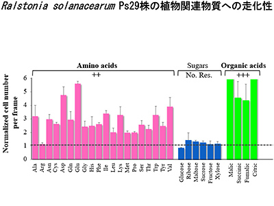 図3/種々の化学物質に対する青枯病菌