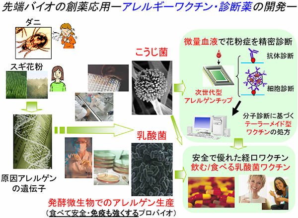アレルギーの次世代型分子診断・治療技術の開発(概念図)