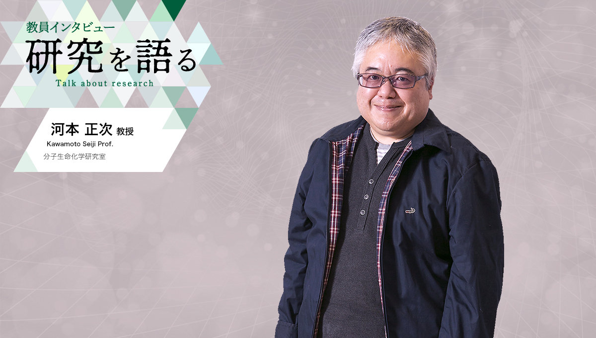 カバー写真：教員インタビュー　研究を語る　分子生命化学研究室　河本正次教授
