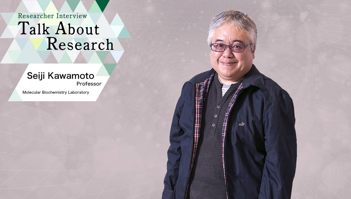 Researcher Interview　Talk About Research　Molecular Biochemistry Laboratory　Seiji Kawamoto, Professor