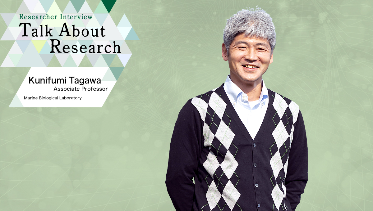 Researcher Interview　Talk About Research　Marine Biological Laboratory　Kunifumi Tagawa, Associate Professor