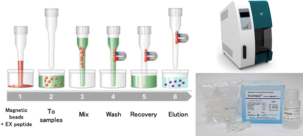 Automatic exosome refining system