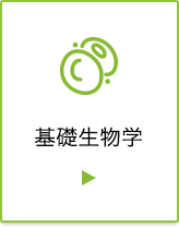 基礎生物学プログラム