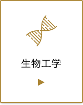生物工学プログラム