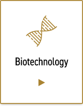 Biotechnology