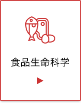 食品生命科学プログラム